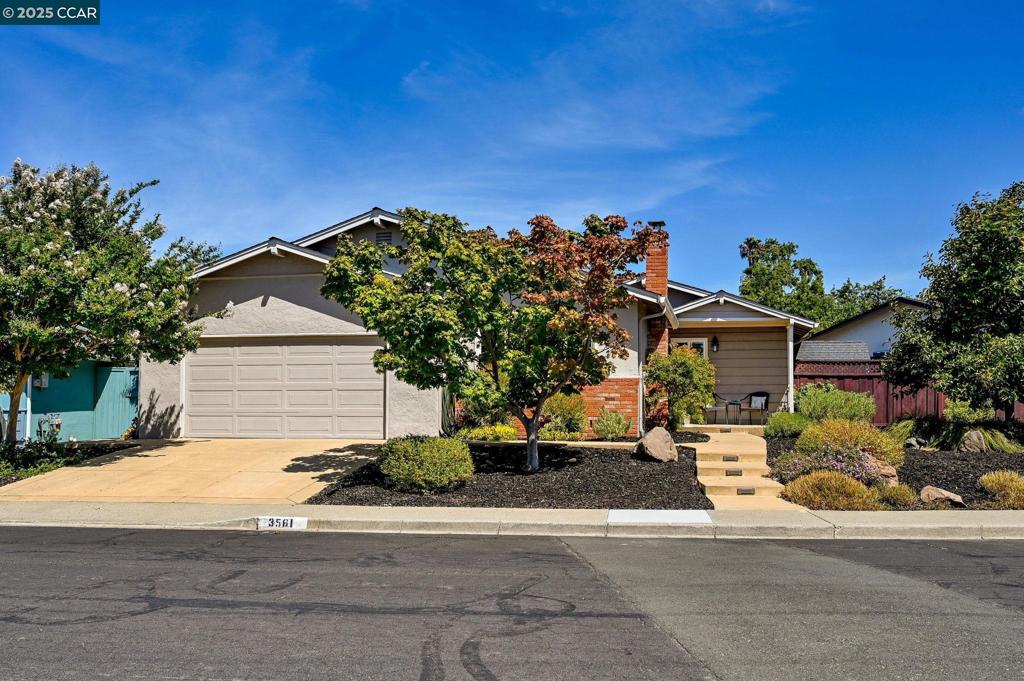 3561 Falcon Drive