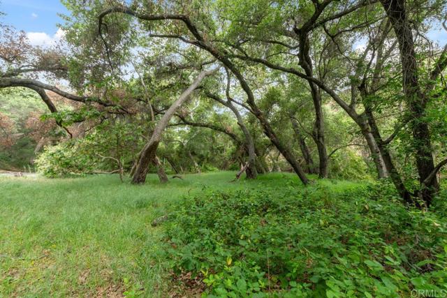 2021 Willow Glen Road, Fallbrook CA: https://media.crmls.org/mediaz/565bbf3c-924b-4711-baa1-ef26ecd8b352.jpg