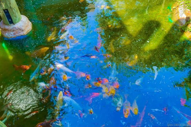 Image 21 of 45 For 999 Pacific St  D011