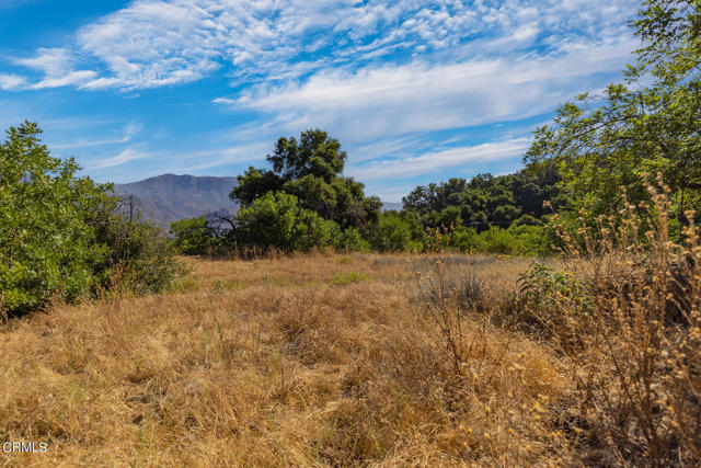 Detail Gallery Image 14 of 22 For 10331 Sulphur Mountain Rd, Ojai,  CA 93023 - – Beds | – Baths