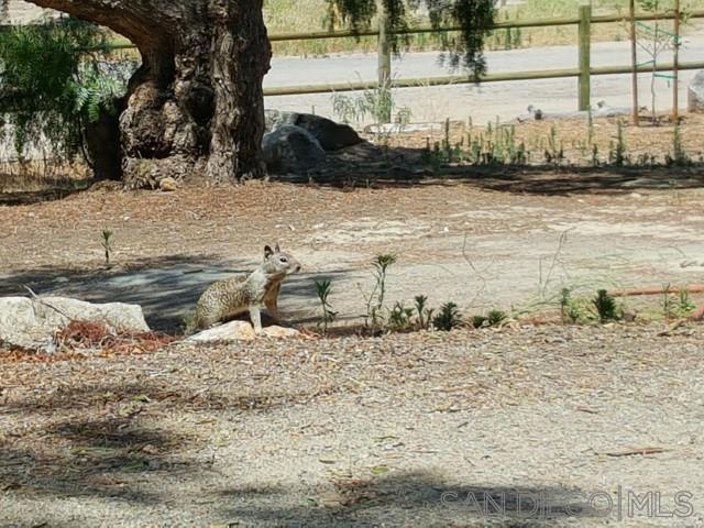 8209 Mesa Rd, Santee CA: https://media.crmls.org/mediaz/56620f9b-a402-406d-ae67-aa746c5b6df2.jpg