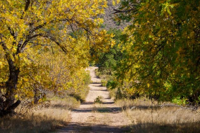 47275 Arroyo Seco Road, Greenfield CA: https://media.crmls.org/mediaz/56623308-57ab-4084-9616-640c069e83e1.jpg