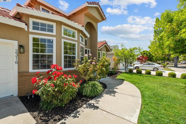 2316 Tulip Rd, San Jose CA: https://media.crmls.org/mediaz/566c58cb-35b9-4082-95c4-c7eb7307152e.jpg