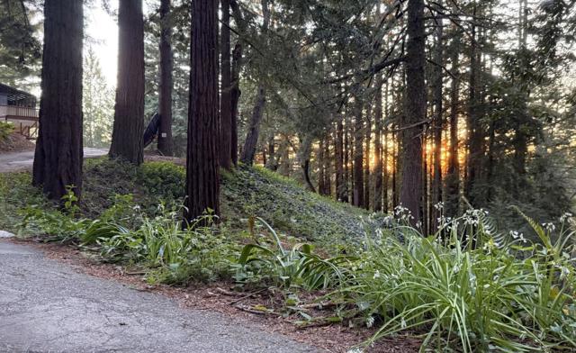 50 Ocean View Road, Los Gatos CA: https://media.crmls.org/mediaz/566eb0f4-3ff5-4b45-80c2-8def366676de.jpg