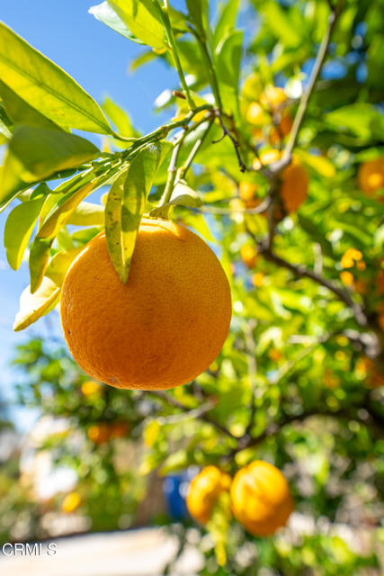 Detail Gallery Image 15 of 26 For 975 E Avenida De Los Arboles, Thousand Oaks,  CA 91360 - 4 Beds | 3 Baths