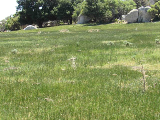 Detail Gallery Image 35 of 47 For 200 Acres Mccain Valley Rd, Boulevard,  CA 91905 - – Beds | – Baths