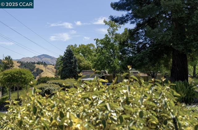 2101 PTARMIGAN DR, Walnut Creek CA: https://media.crmls.org/mediaz/5675fc97-7f73-4939-a881-caab7c9bea4e.jpg