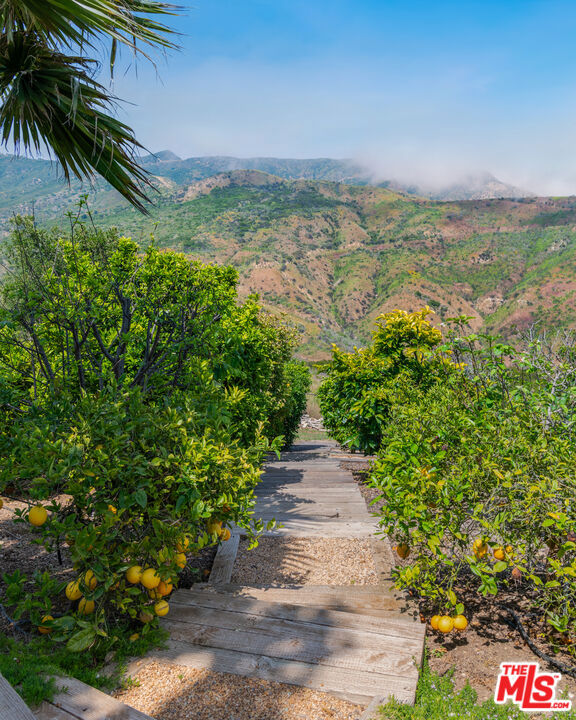 Drew Fenton | 2900 Corral Canyon Road Malibu CA | MLS: 7407494 Drew Fenton | 2900 Corral Canyon Road Malibu CA | MLS: 7407494