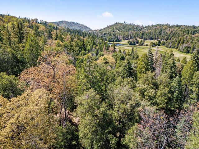 Detail Gallery Image 3 of 30 For 14 +/- Acres Palomar Divide Truck Trl, Palomar Mountain,  CA 92060 - – Beds | – Baths