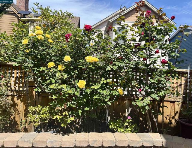 2036 Serra Ln, Hercules CA: https://media.crmls.org/mediaz/569a9209-7cc4-4448-b6d0-b1cae52a4b48.jpg