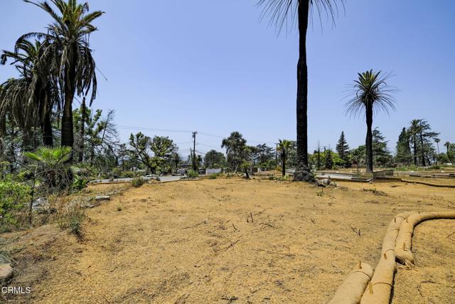 677 E Palm Street, Altadena CA: https://media.crmls.org/mediaz/569c879a-0419-445a-92e6-97688bd9c332.jpg