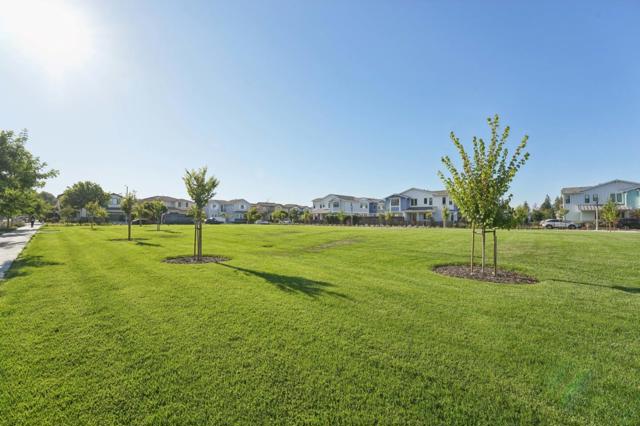 709 Vinemaple Terrace, Sunnyvale CA: https://media.crmls.org/mediaz/56a3ba4d-5020-4f4b-8ab9-50ba3502b7fb.jpg