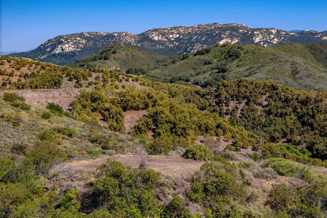 Detail Gallery Image 19 of 20 For 9 10 Calle Cresta Rd, Temecula,  CA 92590 - – Beds | – Baths