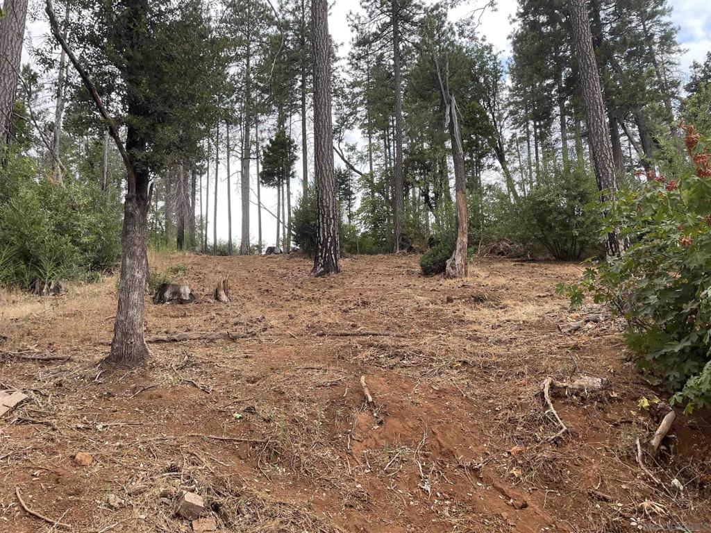 MLS #250037729SD image #6