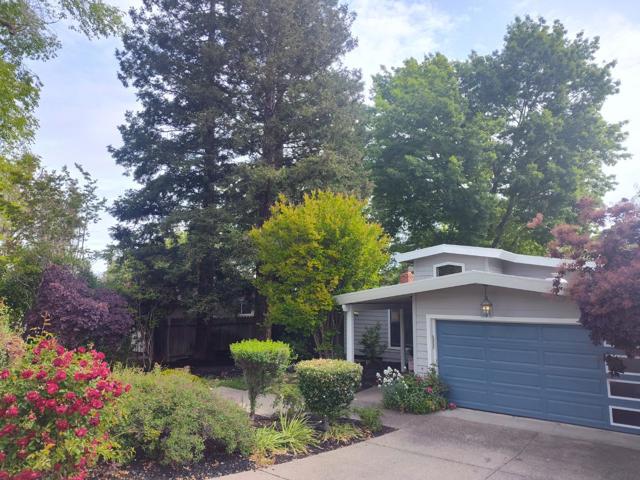 136 Lorie Court, Walnut Creek CA: https://media.crmls.org/mediaz/56b9ba7b-e201-4969-952d-b615bcf7be1e.jpg