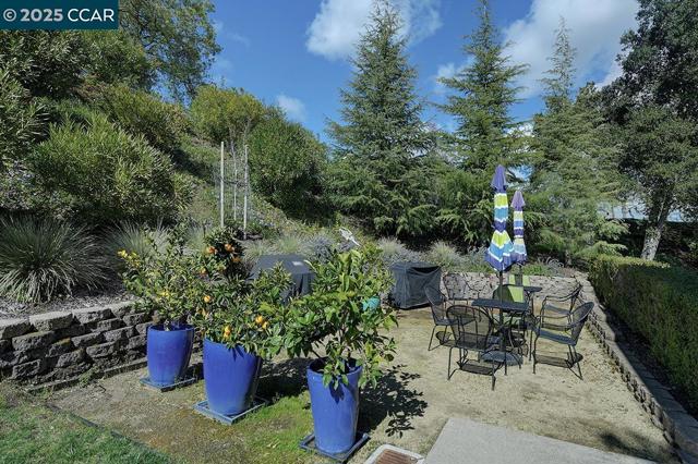 1232 Skycrest Dr, Walnut Creek CA: https://media.crmls.org/mediaz/56bf4447-a330-4668-8365-2c8c1768764c.jpg