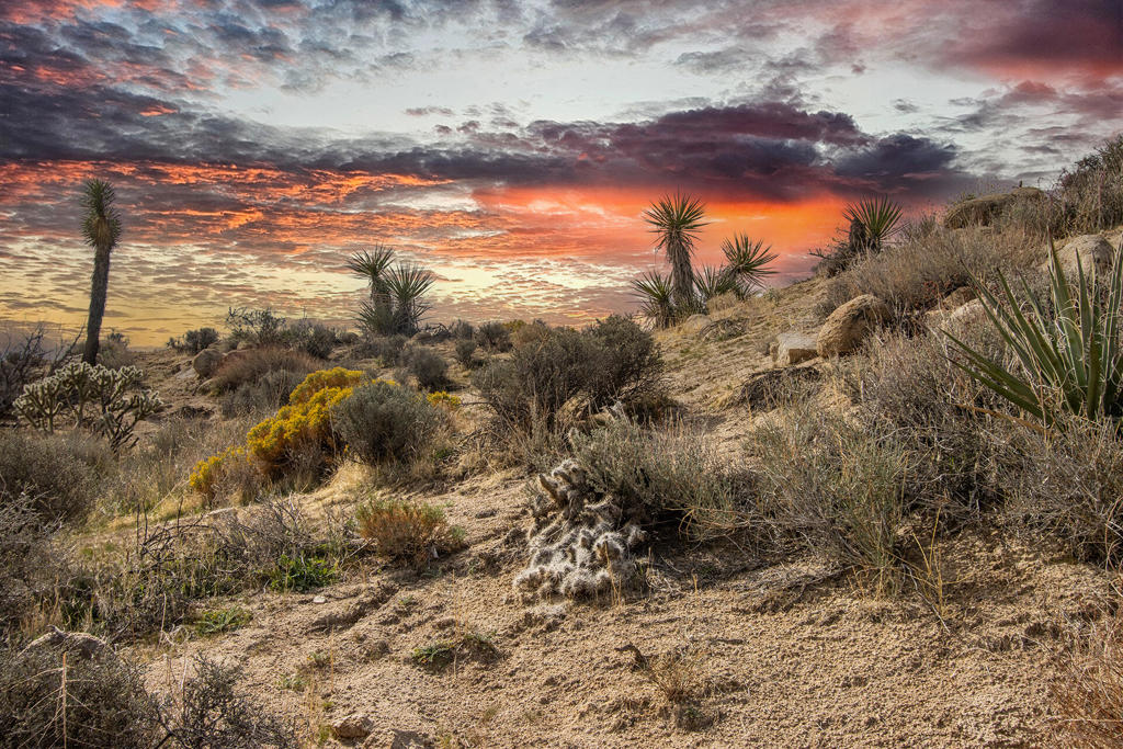 MLS #219138040PS image #1