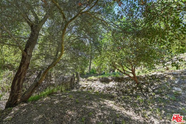 1527 Bainum Drive, Topanga CA: https://media.crmls.org/mediaz/56d406a3-c11d-4a36-b5a2-95708fdd9cb0.jpg