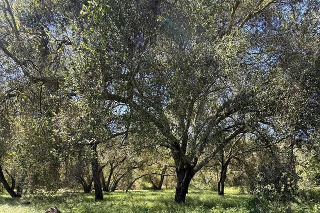Detail Gallery Image 63 of 74 For 26940 Paradise Meadow Ln, Valley Center,  CA 92082 - 3 Beds | 2 Baths