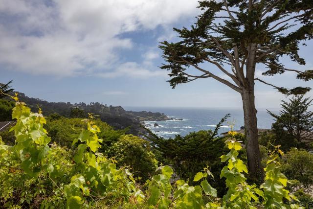 110 Pine Way, Carmel CA: https://media.crmls.org/mediaz/56e6e09a-d3a5-4183-9e9f-53b5bf87971c.jpg