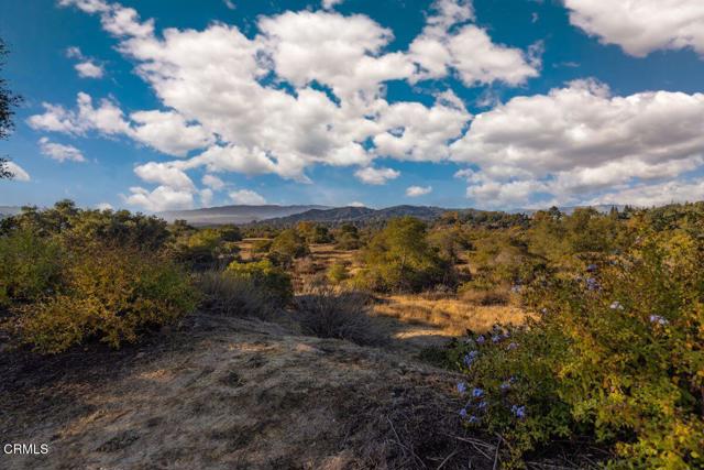1035 Moreno Drive, Ojai CA: https://media.crmls.org/mediaz/56f7ae02-eaa3-4370-918f-4126ab15cca4.jpg
