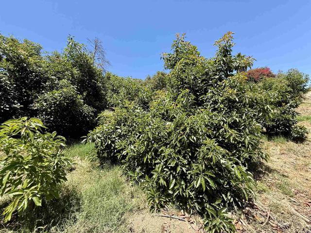 39182 Daily Road, Fallbrook CA: https://media.crmls.org/mediaz/57078e64-41c9-4233-876f-7d570564726c.jpg