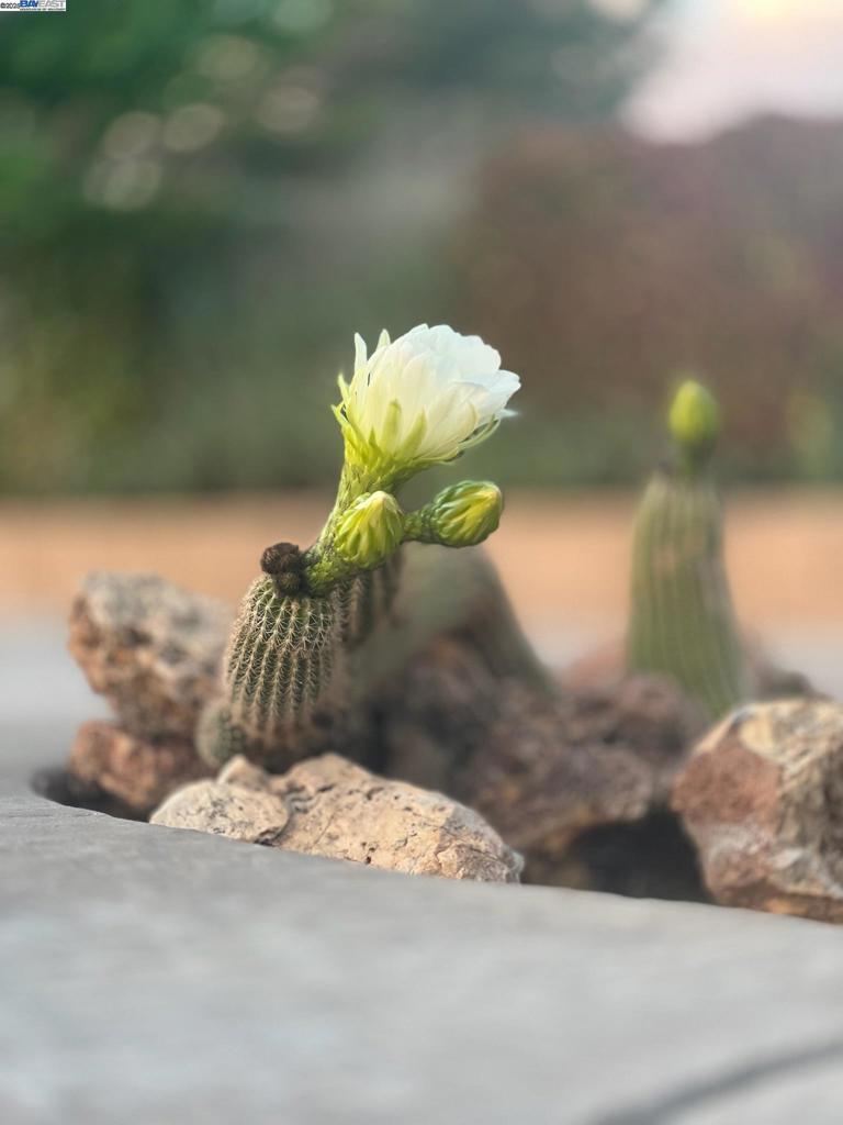 https://media.crmls.org/mediaz/570d452a-7e27-4736-ba14-7b74007d8ad8.jpg?preset=X-Large