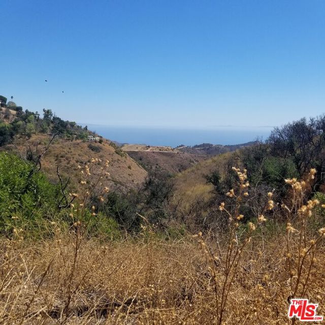 29162 Upper Ramirez Motor Way photo 5