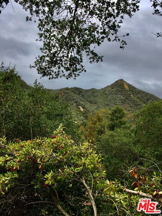764 Old Topanga Canyon Road, Topanga CA: https://media.crmls.org/mediaz/571433a8-ec82-466c-9669-e146034e37c0.jpg