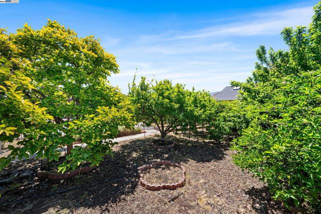 1457 Via El Monte, San Lorenzo CA: https://media.crmls.org/mediaz/57181e5f-ce78-43fc-be04-de50744a5168.jpg