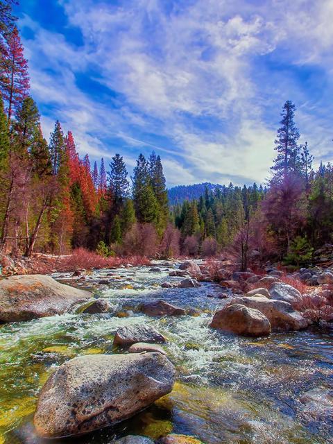 7899 Forest Drive,  CA: https://media.crmls.org/mediaz/571854f7-d062-4ed5-bf2a-cc287cc6b2ba.jpg