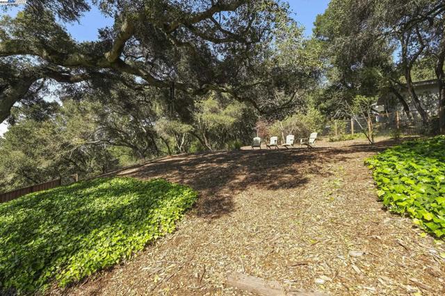 10 Easton Ct, Orinda CA: https://media.crmls.org/mediaz/571bbbcc-4ee3-4b4c-8965-198406aef0c0.jpg