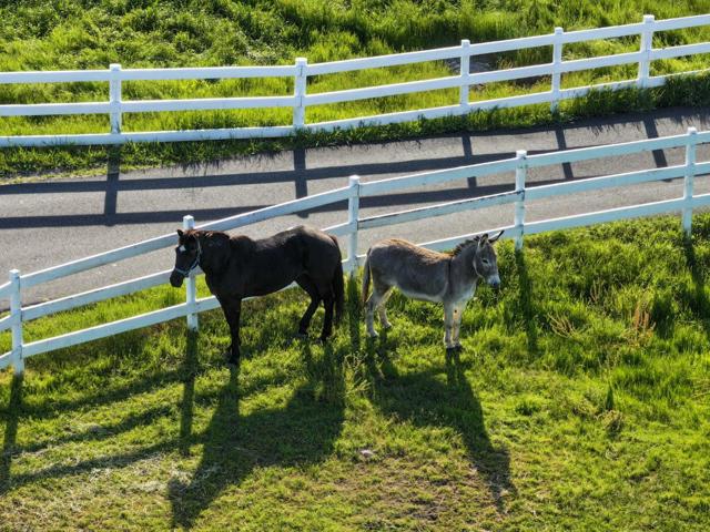 1860 Salinas Road, San Juan Bautista CA: https://media.crmls.org/mediaz/57255af6-9a37-4cd0-97be-b6b301d5f2e5.jpg