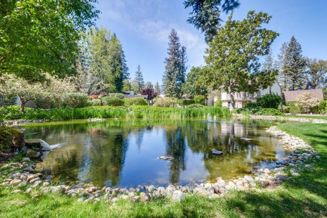 19816 Vineyard Lane, Saratoga CA: https://media.crmls.org/mediaz/572eb256-87c2-4068-aea8-aa54c3d27726.jpg