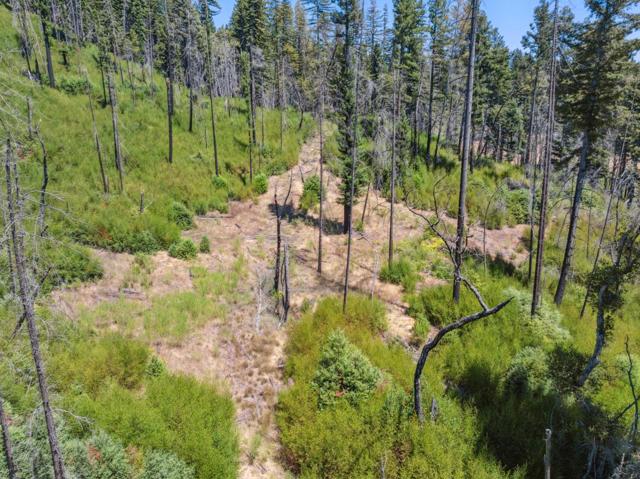 0 & 06 Branson, Boulder Creek CA: https://media.crmls.org/mediaz/572ef50a-b273-47b3-a63d-b7468b3be9c8.jpg