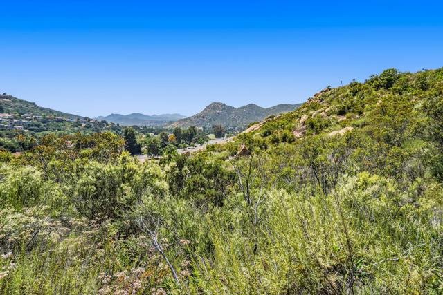 16110 Camino Arriba, Ramona, California 92065, ,Residential Land,For Sale,Camino Arriba,PTP2403291