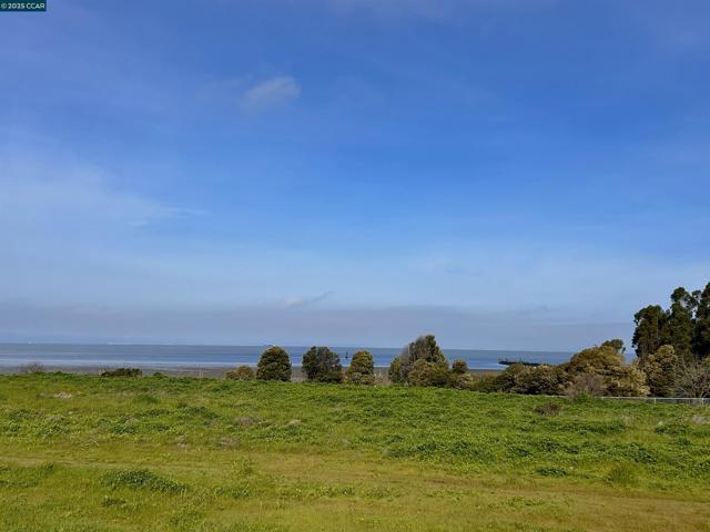 2036 Serra Ln, Hercules CA: https://media.crmls.org/mediaz/5739dc2a-d38b-4c92-a457-99ab687822fb.jpg