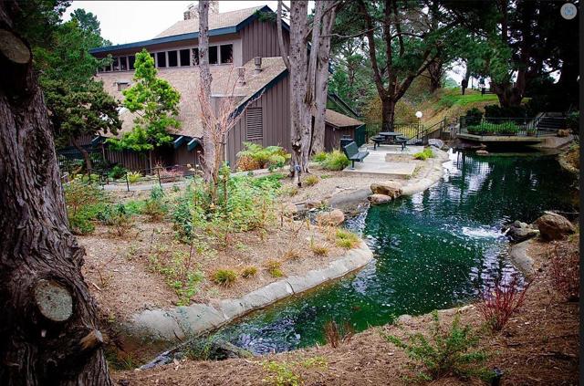 355 Half Moon Lane, Daly City CA: https://media.crmls.org/mediaz/5739f7a3-8681-4c05-9b82-bc8a66e43518.jpg