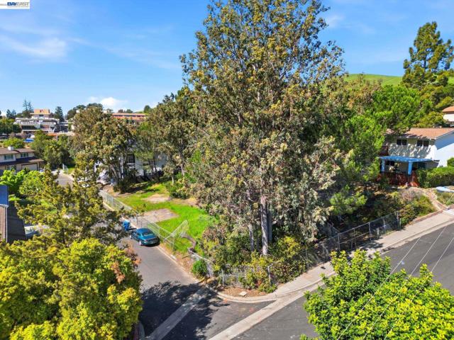 394 Appian Way, Union City CA: https://media.crmls.org/mediaz/573f0c78-a31b-4c78-9b3c-ba822263b35e.jpg