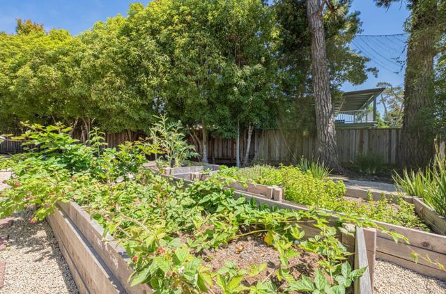 175 Tamarack Drive, Aptos CA: https://media.crmls.org/mediaz/575af662-1ed3-4463-b82a-a06aa9b0b3cd.jpg