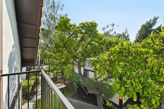 1734 W El Camino Real, Mountain View CA: https://media.crmls.org/mediaz/5762e6e7-a2e5-4bca-a122-977a6023d59e.jpg