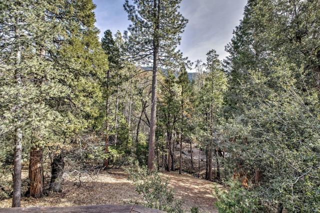 55283 Pine Crest, Idyllwild CA: https://media.crmls.org/mediaz/5764f1d2-f9fe-4fba-a308-adab9a17fdeb.jpg