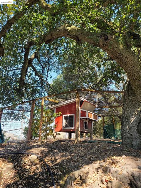 40 Hilldale Ct, Orinda CA: https://media.crmls.org/mediaz/576e7233-3b6c-4bbd-9c17-00e2b7c33052.jpg