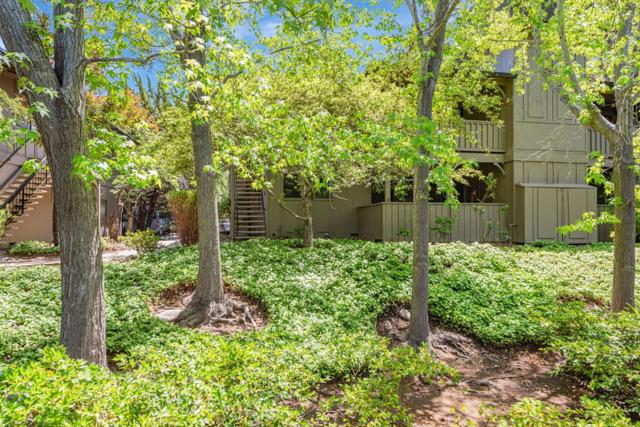 14660 Big Basin Way, Saratoga CA: https://media.crmls.org/mediaz/57720e1d-413a-4968-b1e8-33487472b33d.jpg