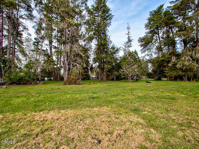 Detail Gallery Image 11 of 26 For 19100 Summers Ln, Fort Bragg,  CA 95437 - – Beds | – Baths