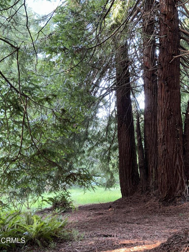 https://media.crmls.org/mediaz/5776bf02-8d72-4d9c-a0fb-6e578fd1294f.jpg?preset=X-Large