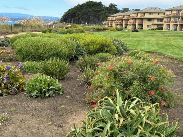 522 Seascape Resort Drive, Aptos CA: https://media.crmls.org/mediaz/57794be8-21ac-4623-a9f8-ac151168af07.jpg
