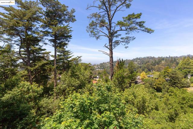 20 Ascot Ct, Oakland CA: https://media.crmls.org/mediaz/577ac24d-dcbb-4bf4-b18e-e06834ae7c9f.jpg