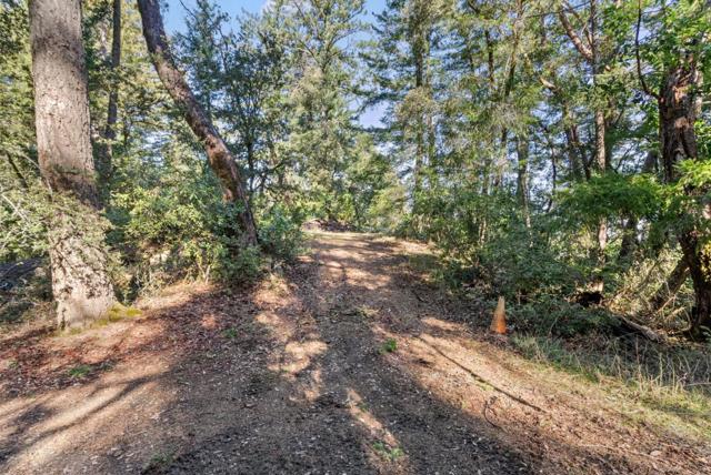 0 Allen, Woodside CA: https://media.crmls.org/mediaz/577b100a-13b1-4e14-b01f-87e2451a647b.jpg