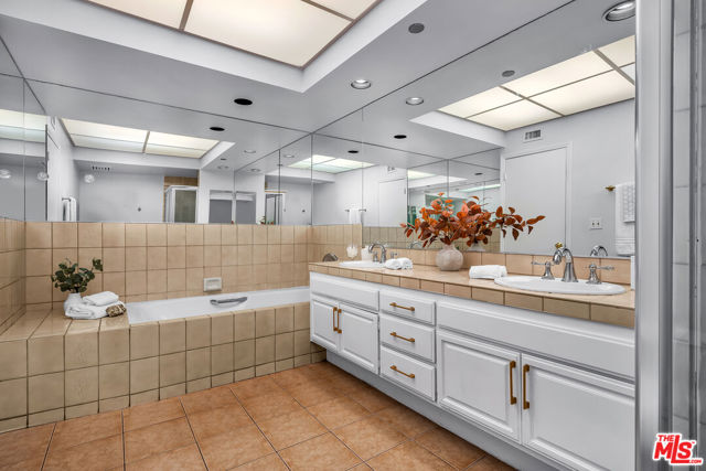 Spa jet tub and dual sinks